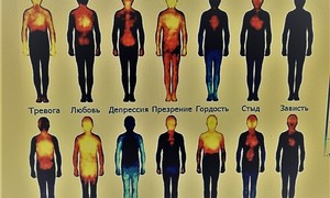 Изменяя себя меняешь мир вокруг себя.